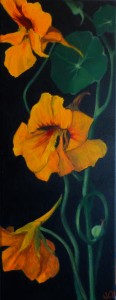 nasturtiums3-card