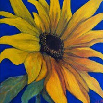 Pack of 3 Cards, Sunflower, Rose and Nasturtium